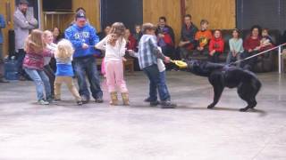 Kids Dogs Tug O War "Classified" Fun W/Protection Dogs
