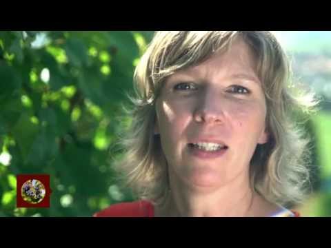 Brittas Weinlatein: Gut in Form der Sommerschnitt