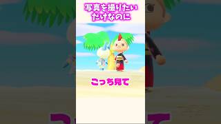 マールと写真を撮りたいだけなのにw #あつ森
