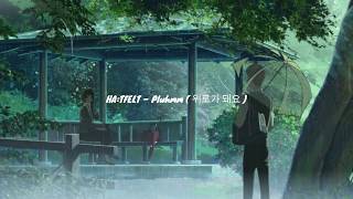 HA:TFELT (핫펠트) - &#39; Pluhm &#39;(위로가 돼요) [ Lyrics/가사 ]