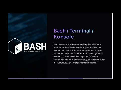 Grundlagen für das TYPO3 13 Videotraining