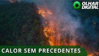 Miniatura do vídeo