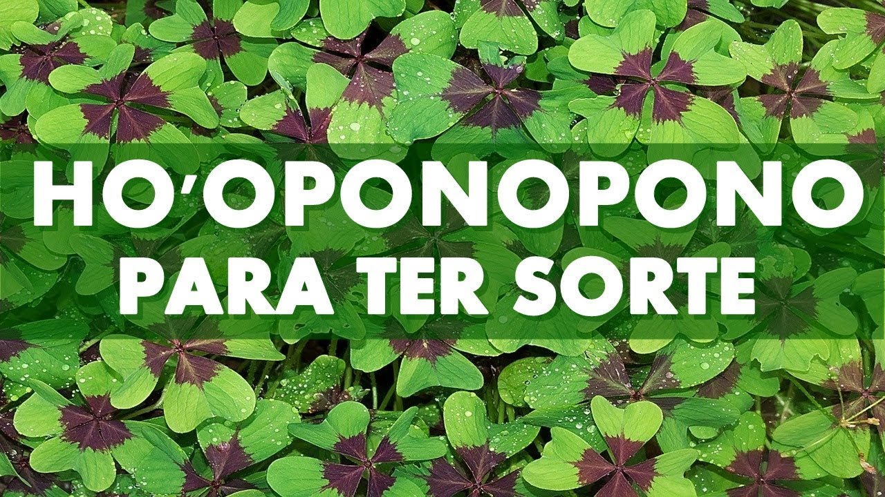 HO'OPONOPONO PARA TER SORTE - 108X