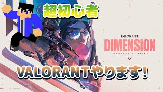 VALORANTプレイします！超初心者🔰　【ナカユウ】