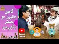 Gamoo Veterinary Doctor Asif Pahore Gamoo Sohrab Soomro