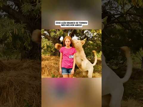 Meu melhor amigo é um LEÃO BRANCO