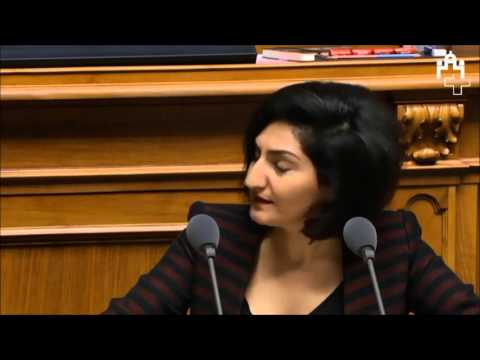 Sibel Arslan redet Kauderwelsch