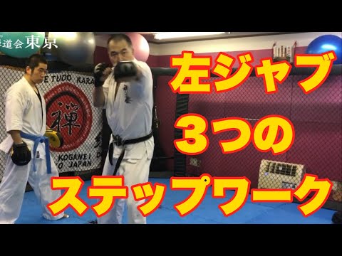 【勝つための打撃#2】左ジャブの打ち方、３つのステップワーク 空手道禅道会追い突き MMA キックボクシング パンチ