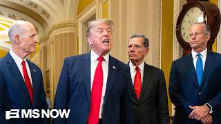  Trump escalates his 'attack on our civic institutions and our voting'