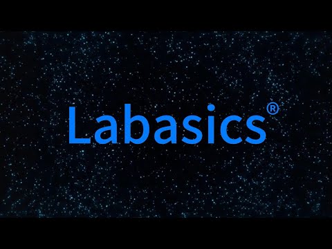 Labasics Glass 24/40 Erlenmeyer Flask! 🧪