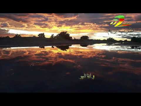 ريشة الفن ديمي منت اب dimi mint abba