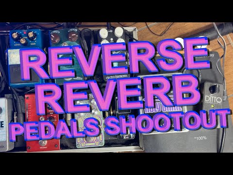 Reverse Reverb Pedals Shootout: Holy Grail Max, Polara & Oceans 11 + Bonuses | Orbital Mol
