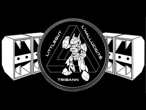 LittleGuy - CONTACT RADAR - Hallucidité HS19