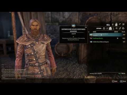 The Elder Scrolls Online: TESO-EP67-Ziggy starts a new quest called "Blessings of the Eight".
