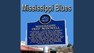 The Sun Rose This Morning