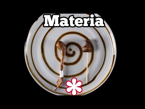Pranziamo da MATERIA STELLA MICHELIN Chef Davide Caranchini Ex Noma