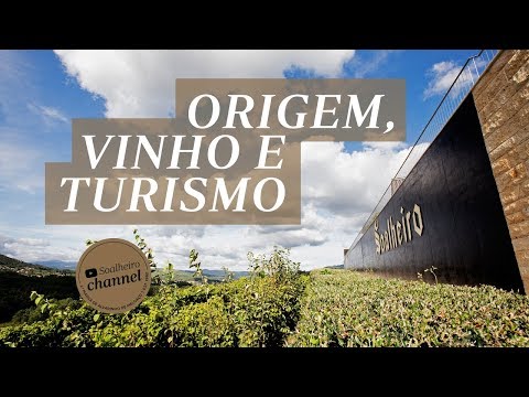 Discover Monção and Melgaço: the origin of Alvarinho in a proposal of Soalheiro Wine Tourism.