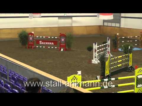 Coupe de Coeur Stute