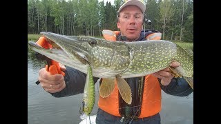 Воблер lucky craft - pointer 128