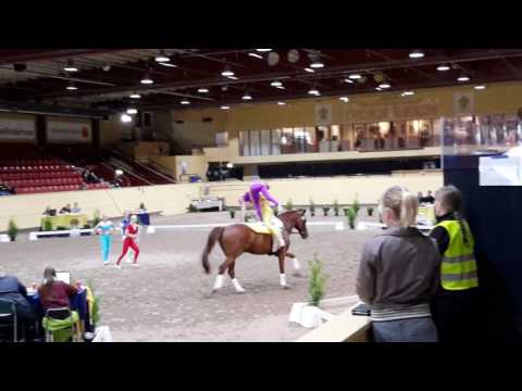 AG Junior Team Flyinge