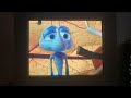 A Bugs Life Clip Building A Bird