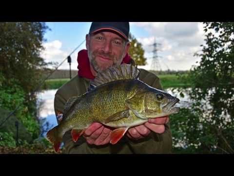 Paul Elt Perch Fishing on the River Great Ouse