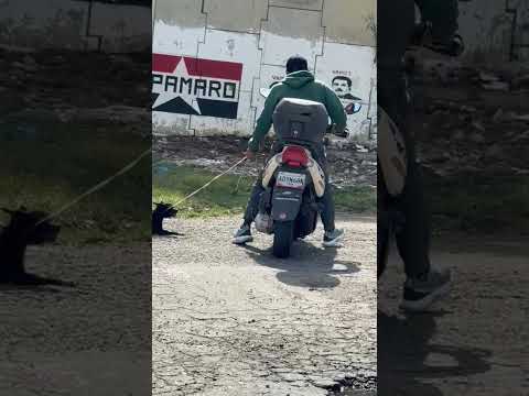 agamoslo famoso Valera Edo Trujillo