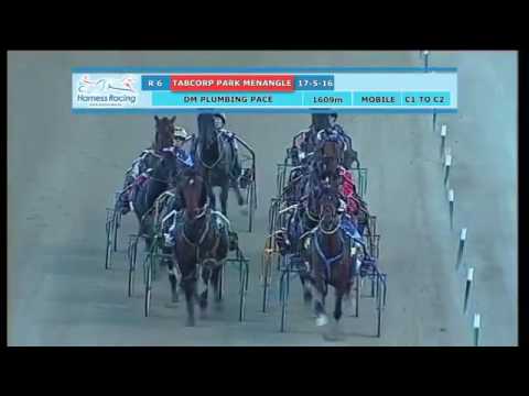 ASCOT ENCOUNTER - 20160517 - Menangle - Race 06 - DM PLUMBING PACE