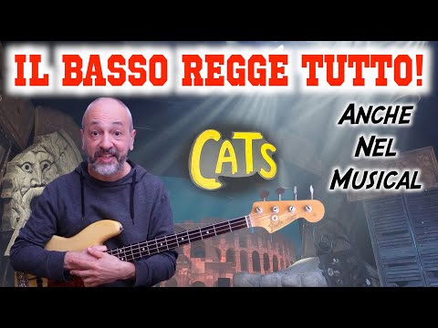 Il Ruolo del Basso Svelato: Cosa Insegna il Musical Cats
