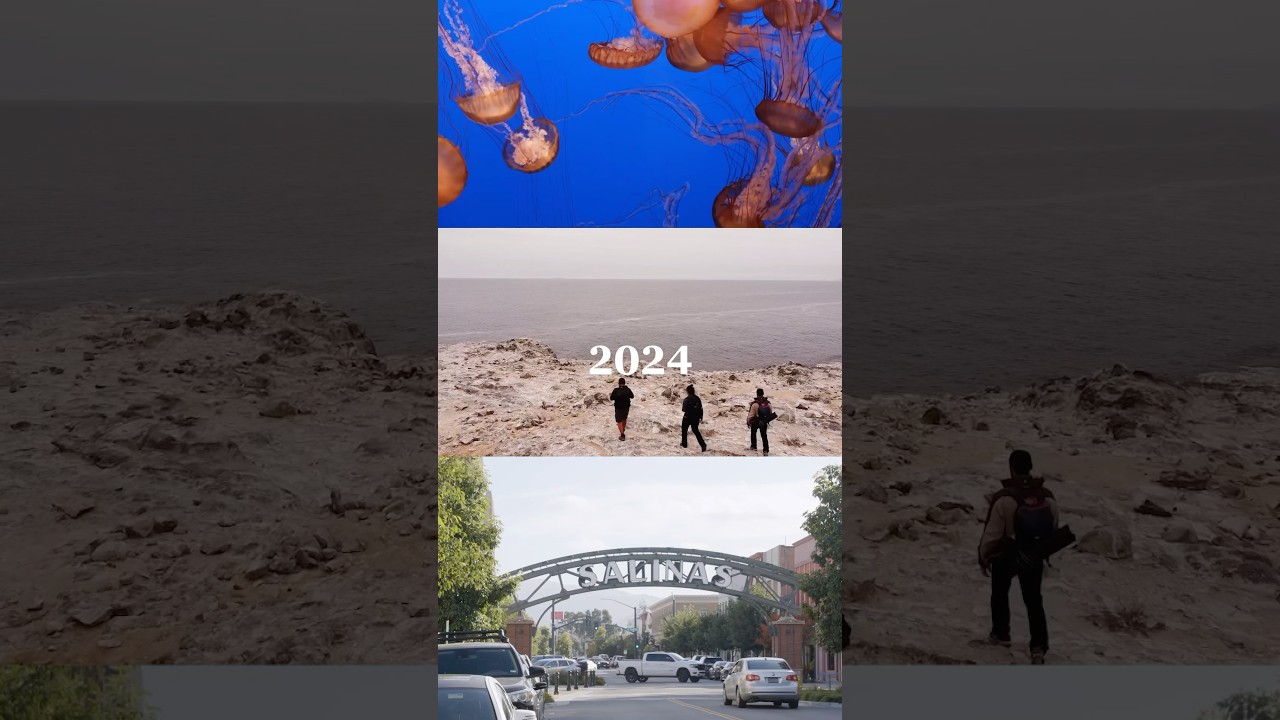 Looking back on 2024!