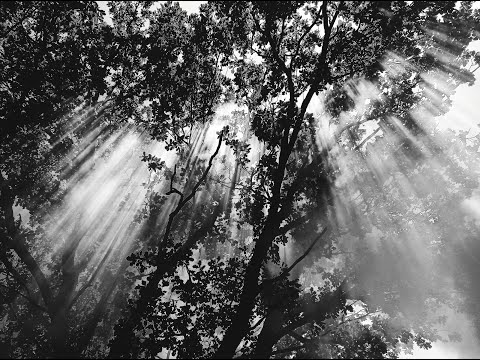 Youtube Video DT_SfzzkM4I