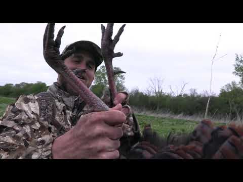 BIG GOBBLER DOWN! Wisconsin Turkey Hunting 2021-...