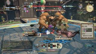 【FF14/声無し】髪型のために第二盤を特級周回した時のおもひで【人外夫婦】