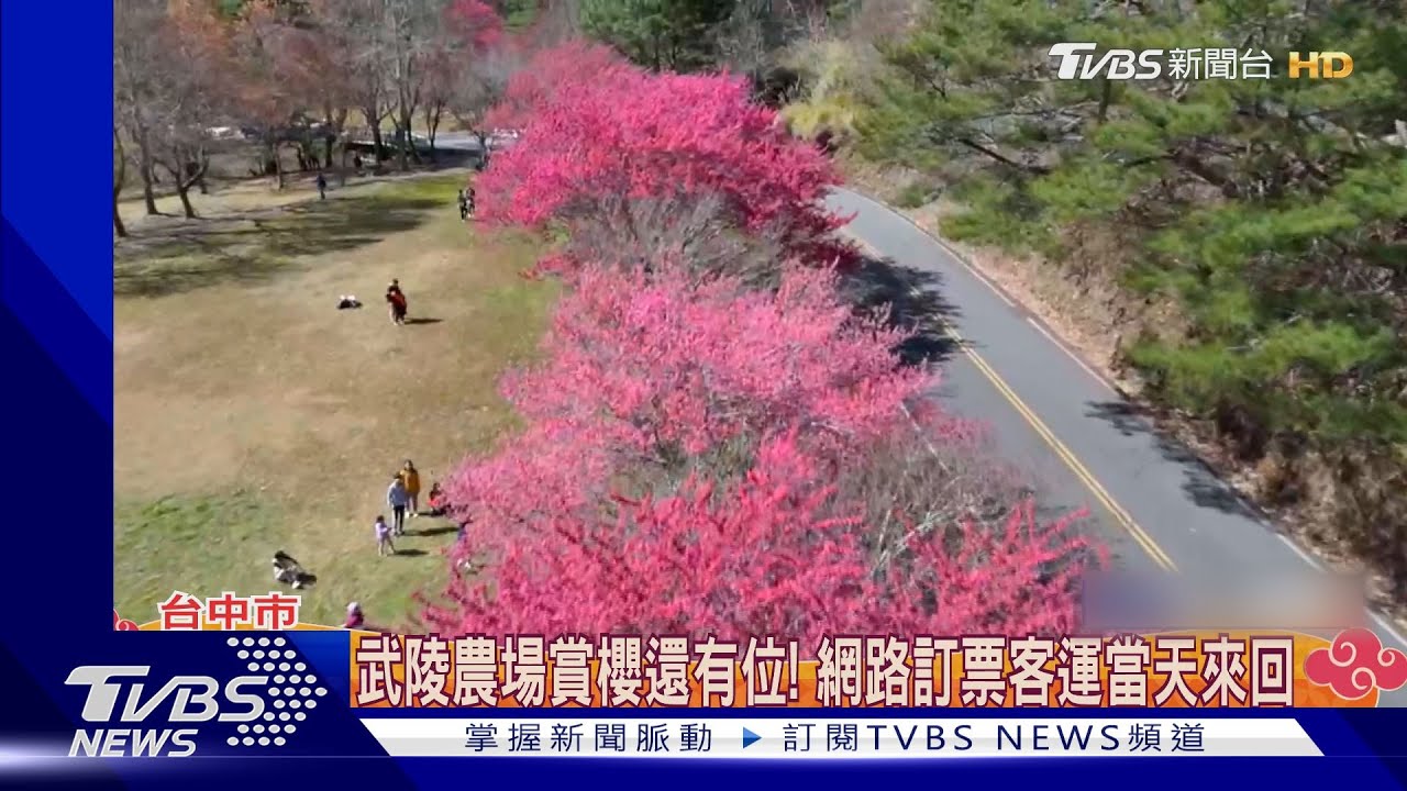 武陵農場賞櫻還有位!網路訂票客運當天來回