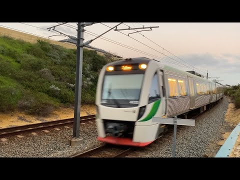Transperth Train l B-Series