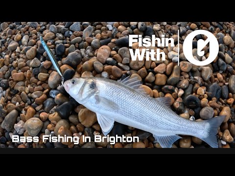 Bass Fishing In Brighton