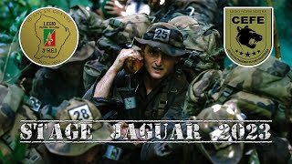 Comment survivre et combattre dans la jungle - La formation militaire la plus difficile