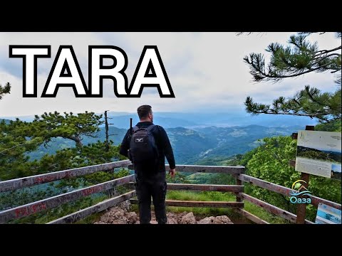 Oaza ep.33 - Tara - Solotnik i Kaluđerske bare