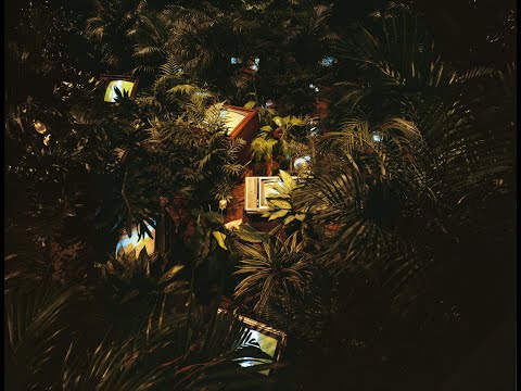 Nam June Paik and TV Lab:  License to Create