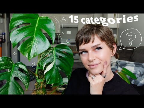 choosing my FAVOURITE plant from each genus...👀 (philodendron, monstera, hoya, alocasia, etc!)
