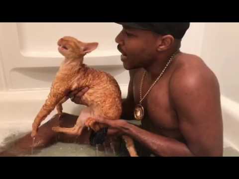 iAmMoshow - Cat Bath Rap
