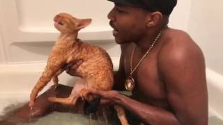 iAmMoshow - Cat Bath Rap