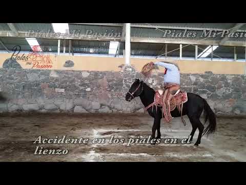 Accidentes En Los Piales En El Lienzo   Rancho Arroyo Negro, Qro 10/ 03/ 2018