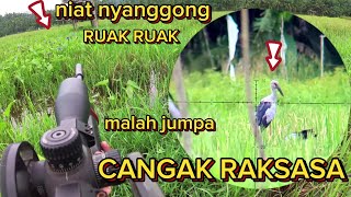Download lagu 🔴 Berburu terbaru ..nyanggon burung rawa banyak jenis yg datang... mp3