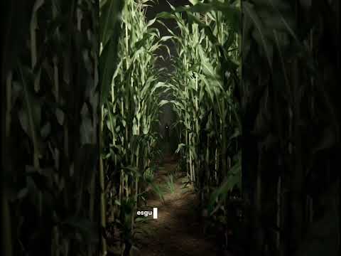 Santa Aurora Ceará, uma história verídica assusta os moradores da região. Respostas com medo… #short