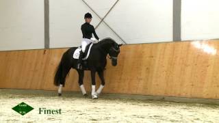 16.800€ pour la génétique de Valegro