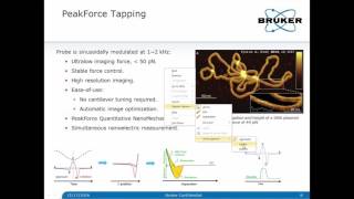 In Situ Studies of SEI Evolution in Li Ion Batteries Morphology Mechanics and Electrochemistry AFM