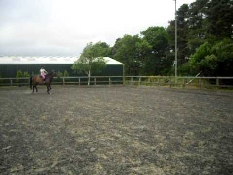 how cute?! wee dani jumping big vali