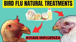 NO DEATH! by BIRD FLU or AVIAN Influenza in Chickens If you give them this NATURAL IMMUNE BOOSTERS