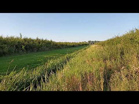 Nokia G20: video-sample / camera test